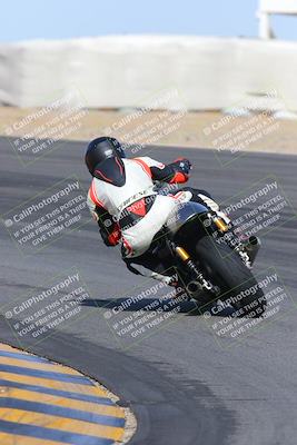 media/Feb-04-2023-SoCal Trackdays (Sat) [[8a776bf2c3]]/Turn 10 Backside (1010am)/